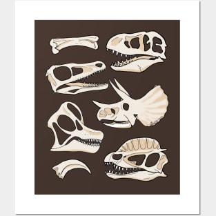 Dino Skulls Posters and Art